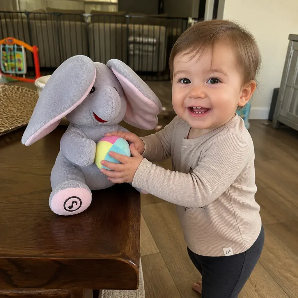 Ari